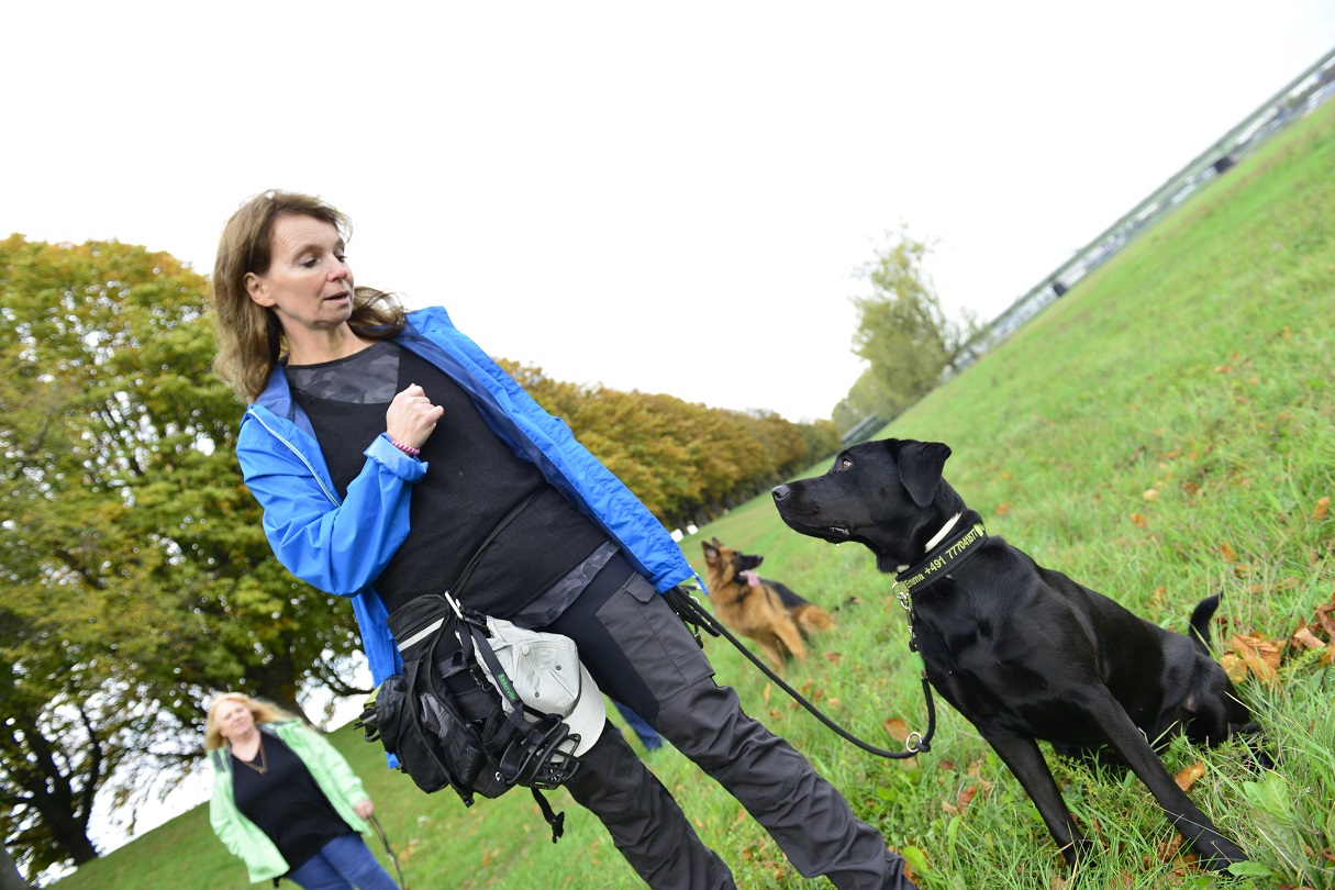 DGHunde Hunde-Uni - viel mehr als 'sitz, platz, fuß'