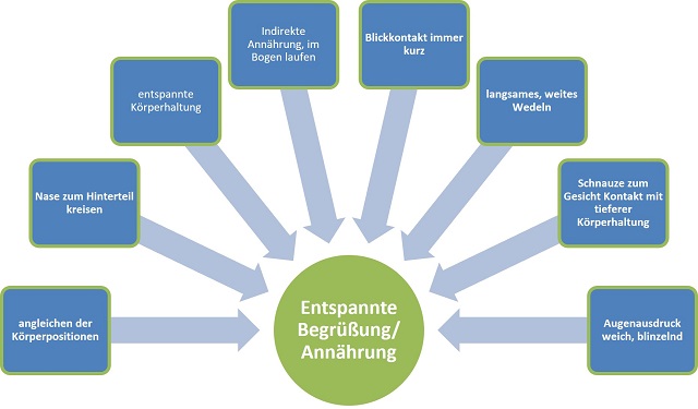 Diagramm: Darstellung der entspannten Begrüßung