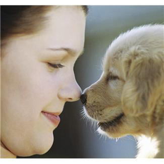 Beratung durch DGHunde zum Wohle von Kind und Hund